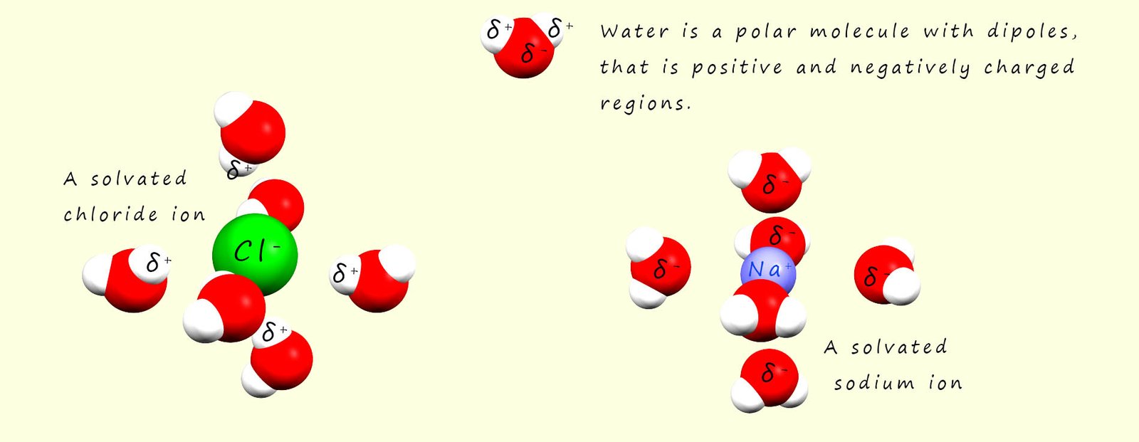 solavtion spheres for sodium and chloride ions in a sodium chloride solution
